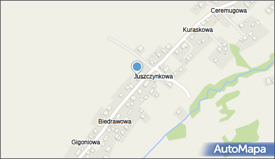 5521682364, Woodica Transport Krzysztof Surmiak 