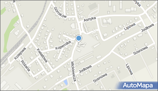 6121819908, Hałka Sylwester Silpol 