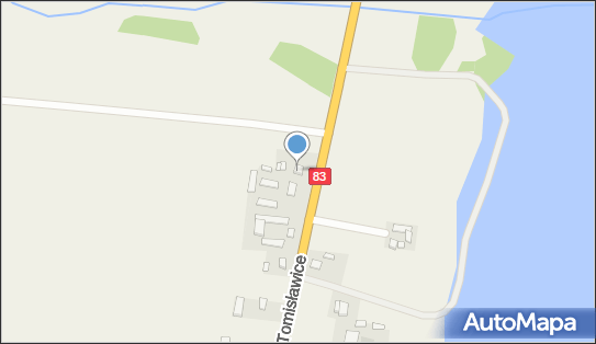 Sylwia Walerych, Tomisławice 20, Tomisławice 98-290 - Przedsiębiorstwo, Firma, NIP: 8272200421