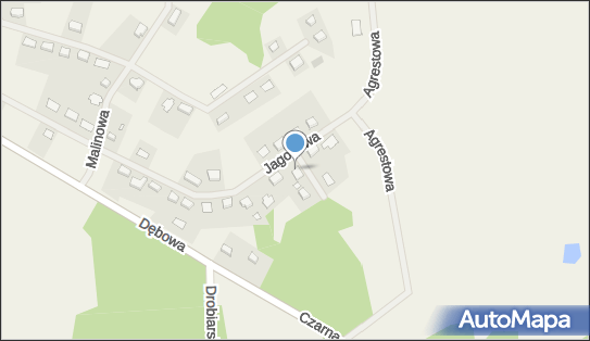 Synaps Am, Jagodowa 34, Droszków 66-003 - Przedsiębiorstwo, Firma, NIP: 9261574940