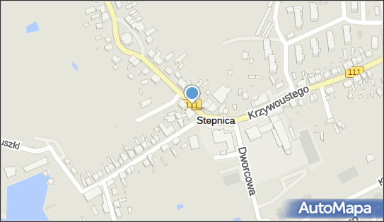 8561077292, Synówka Renata - Delikatesy- Usługi Śródlądowe 