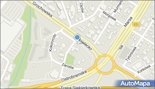 1132824425, Systemy Autobusowe sp. z o.o. 