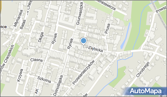 Systemy Gipsowe-Sztukateria Satora Henryk Krzysztof, Ziębicka 2 57-200 - Przedsiębiorstwo, Firma, NIP: 8871376942