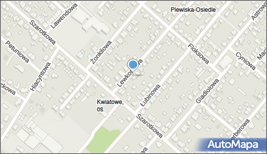 Systemy Zabezpieczeń Bankowych Plus Piotr Idziak, Lewkoniowa 33 60-175 - Przedsiębiorstwo, Firma, NIP: 7811026505