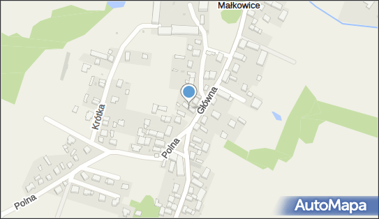 9130000894, Franciszek Szachniewicz PHU 