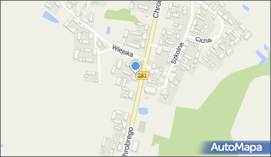 Szansa Na Życie, ul. Bolesława Chrobrego 63, Pomorsko 66-100 - Przedsiębiorstwo, Firma, NIP: 9730969907