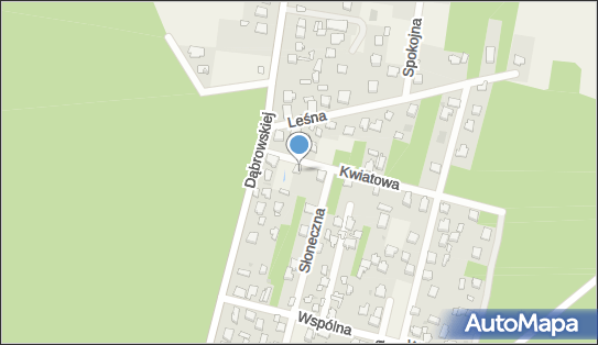 5711016216, Zakład Usług Leśnych Wojciech Szczepański 