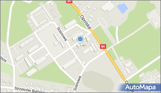 Szkoła Nauki Pływania Delfinek- Dariusz Bolechowski, Opolska 13B 47-100 - Przedsiębiorstwo, Firma, NIP: 7561674627