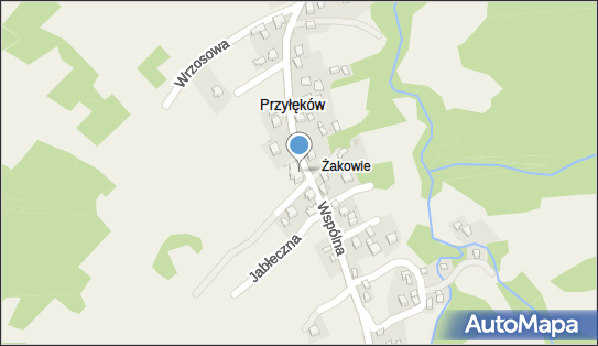 5531718017, Szkoła Podstawowa im.Janiny Bühl w Przyłękowie 