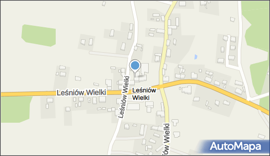 Szkoła Podstawowa im K Makuszyńskiego, Leśniów Wielki 54 66-016 - Przedsiębiorstwo, Firma, numer telefonu, NIP: 9730574600