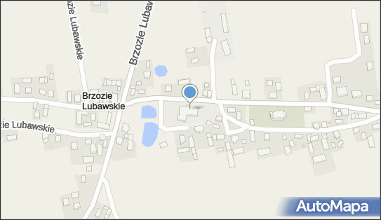 Szkoła Podstawowa im Orła Białego w Brzoziu Lubawskim 13-306 - Przedsiębiorstwo, Firma, numer telefonu, NIP: 8771457078