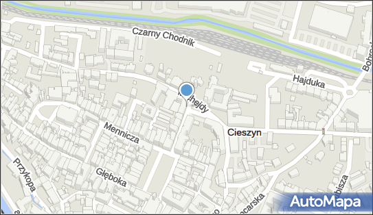 5481092394, Szkoła Podstawowa nr 1 w Cieszynie 