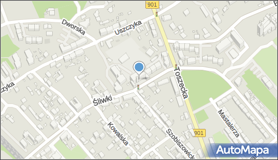 6312005631, Szkoła Podstawowa nr 20 im.Powstańców Śląskich w Gliwicach 