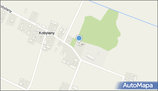 Szkoła Podstawowa w Kobylanach, Kobylany 114, Kobylany 08-205 - Przedsiębiorstwo, Firma, numer telefonu, NIP: 4960141339