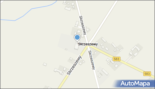 Szkoła Podstawowa w Skrzeszewach, Skrzeszewy 21, Skrzeszewy 09-541 - Przedsiębiorstwo, Firma, numer telefonu, NIP: 9710645886