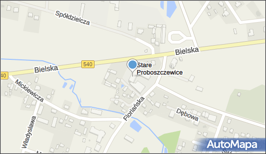 Szkoła Podstawowa w Starych Proboszczewicach, ul. Floriańska 4 09-411 - Przedsiębiorstwo, Firma, numer telefonu, NIP: 7742744857