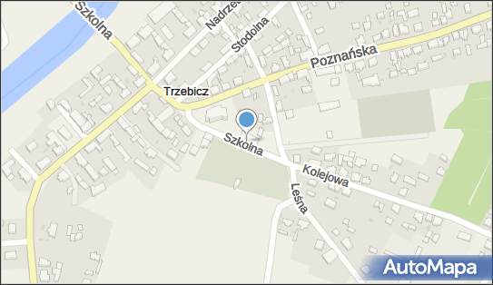 Szkoła Podstawowa w Trzebiczu, Szkolna 1, Trzebicz 66-530 - Przedsiębiorstwo, Firma, numer telefonu, NIP: 5992625851