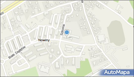 Szkoła Podstawowa, ul. Białe Zagłębie 21, Nowiny 26-052 - Przedsiębiorstwo, Firma, numer telefonu, NIP: 9591464120