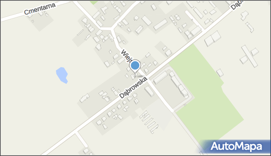 9910234751, Szkółka Drzew i Krzewów Ozdobnych Andre Poniatowski 