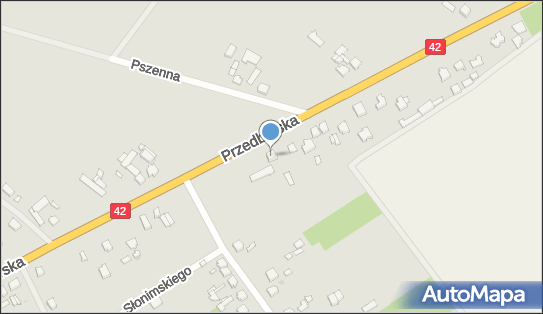 Szkółka Drzew i Krzewów Picea w Radomsku, Przedborska 272 97-500 - Przedsiębiorstwo, Firma, numer telefonu