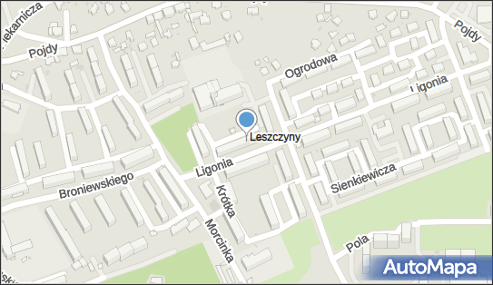 Szlachta Góralska, Ligonia 14a, Czerwionka-Leszczyny 44-238 - Przedsiębiorstwo, Firma, NIP: 6421956673