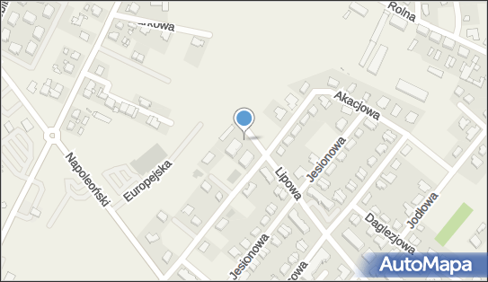 Szulc Tomasz One Mind, Lipowa 4, Rokietnica 62-090 - Przedsiębiorstwo, Firma, NIP: 6222394600