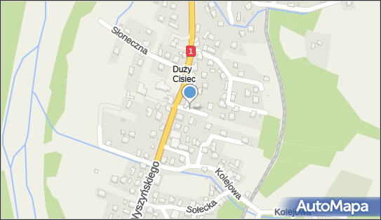 Szymon Szczotka - Działalność Gospodarcza, Cisiec 631, Cisiec 34-350 - Przedsiębiorstwo, Firma, NIP: 5531351404