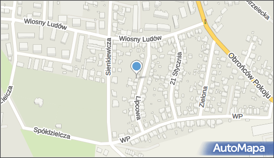 6191747918, T&N Transport i Spedycja Edyta Najdek 