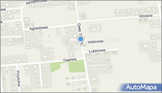 Tadeusz Drwal Moto - Tim Drwal, ul. Dwie Topole 26, Kalinówka 21-040 - Przedsiębiorstwo, Firma, NIP: 7120068872