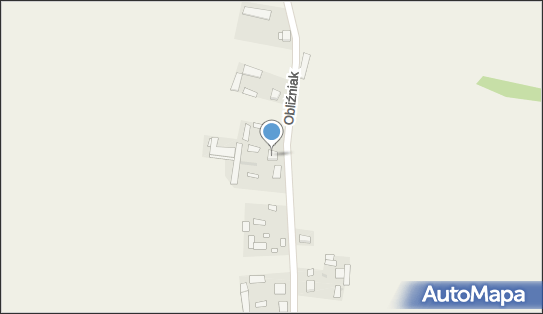 Tadeusz Górecki, Obliźniak 27, Obliźniak 24-320 - Przedsiębiorstwo, Firma, NIP: 7171219832