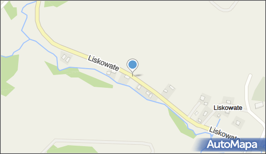 Tadeusz Oszer Zakład Produkcji Drzewnej Tamdrew, Liskowate NN 38-703 - Przedsiębiorstwo, Firma, NIP: 6890000438