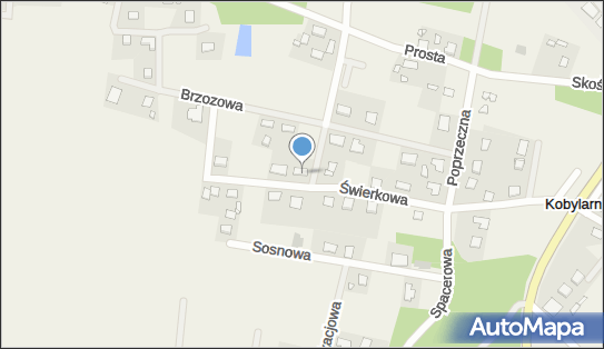 Tadeusz Stoiński - Działalność Gospodarcza, ul. Świerkowa 12 86-061 - Przedsiębiorstwo, Firma, NIP: 5621077036