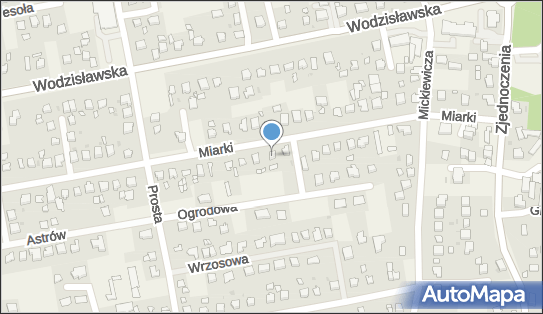 Tadeusz Szymański - Działalność Gospodarcza, Pawłowice 43-250 - Przedsiębiorstwo, Firma, NIP: 6331719627