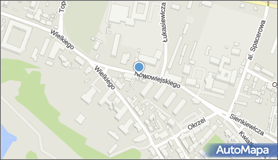 Taksówka Osobowa nr Boczny 784, Płock 09-400 - Przedsiębiorstwo, Firma, NIP: 7741800789