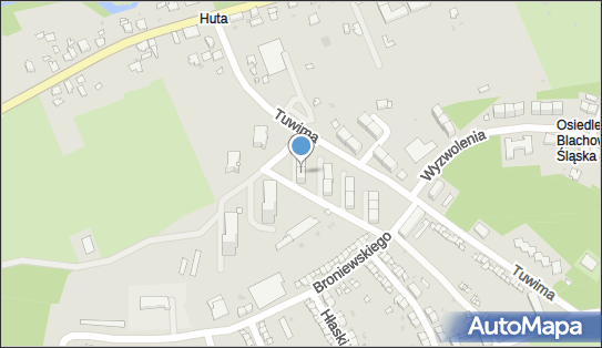 Taksówka Osobowa, ul. Tuwima 12, Kędzierzyn-Koźle 47-225 - Przedsiębiorstwo, Firma, NIP: 7491023993