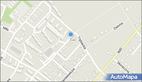 Taksówka Osobowa, ul. Przechodnia 19, Debrzno 77-310 - Przedsiębiorstwo, Firma, NIP: 8431281692