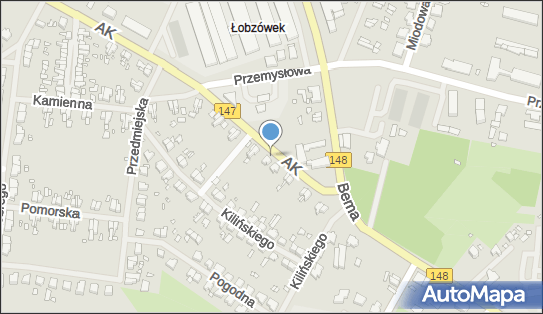 Taksówka Osobowa, Armii Krajowej 8, Łobez 73-150 - Przedsiębiorstwo, Firma, NIP: 8541056648