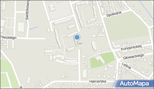Taksówka Osobowa, Waryńskiego Ludwika 42, Dębno 74-400 - Przedsiębiorstwo, Firma, NIP: 5971441459