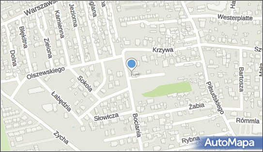 Tapicerstwo Samochodowe, Bociania 2, Ząbki 05-091 - Przedsiębiorstwo, Firma, numer telefonu, NIP: 1250503292