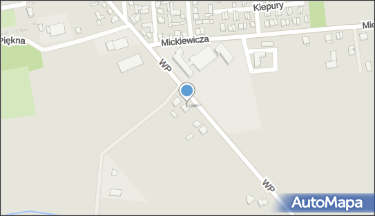 Tartak Usługowo Produkcyjno Handlowy, Wojska Polskiego 30 18-420 - Przedsiębiorstwo, Firma, NIP: 7181635035