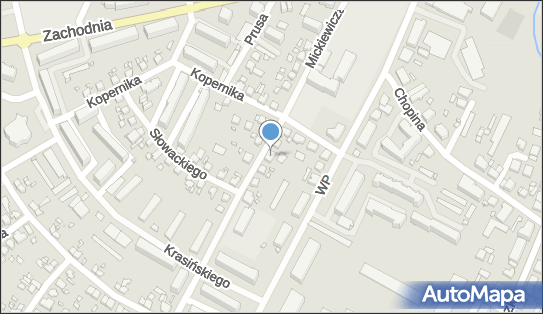 TATO, ul. Mickiewicza 17, Międzyrzecz 66-300 - Przedsiębiorstwo, Firma, NIP: 5961430069