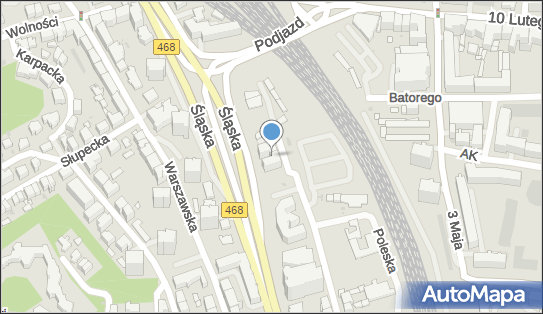 Taxi Osobowa nr 1100, ul. Śląska 11/15, Gdynia 81-319 - Przedsiębiorstwo, Firma, NIP: 5861067818