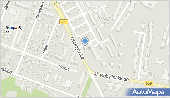 Taxi Osobowa nr Boczny 163, Dobrzyńska 2, Płock 09-400 - Przedsiębiorstwo, Firma, NIP: 7741491650