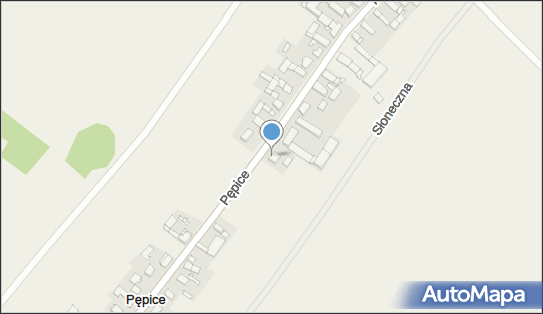 Taxi Osobowe, Pępice 12A, Pępice 49-351 - Przedsiębiorstwo, Firma, NIP: 7471600424