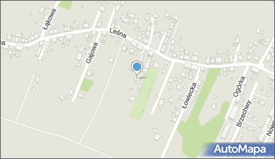 TAXI, ul. Leśna 25 A, Zabrze 41-800 - Przedsiębiorstwo, Firma, NIP: 6481964469