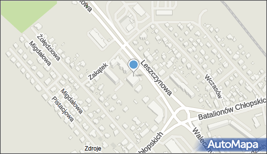 8521919767, Usługi Transportowe Arkadiusz Foint 