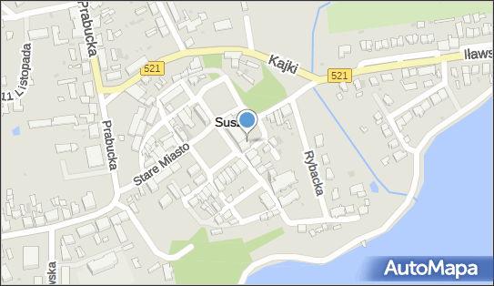 Techlas, Stare Miasto 14, Susz 14-240 - Przedsiębiorstwo, Firma, NIP: 5811498189