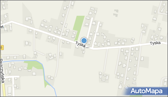 Techpaw Paweł Gruchlik, Tyska 16, Gostyń 43-176 - Przedsiębiorstwo, Firma, NIP: 6351758317