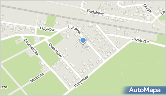 Teresa Ładzikowska - Działalność Gospodarcza, Lutyków 3b 70-876 - Przedsiębiorstwo, Firma, NIP: 9551132417