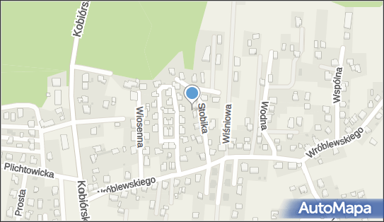 Tesone Wieńczysław Gawęda, Stobika Grzegorza 5, Kobiór 43-210 - Przedsiębiorstwo, Firma, NIP: 6462063392